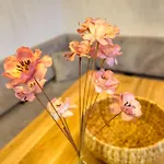 Haus Schoene Aussicht, App 3sb101 Lejlighed *
