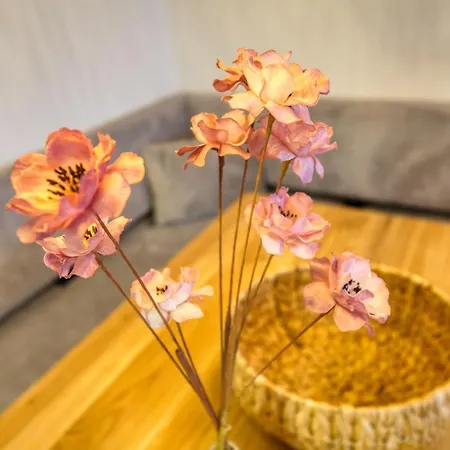 Haus Schoene Aussicht, App 3sb101 Lejlighed *